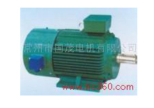 YVP/YVF系列變頻調(diào)速三相異步電動機